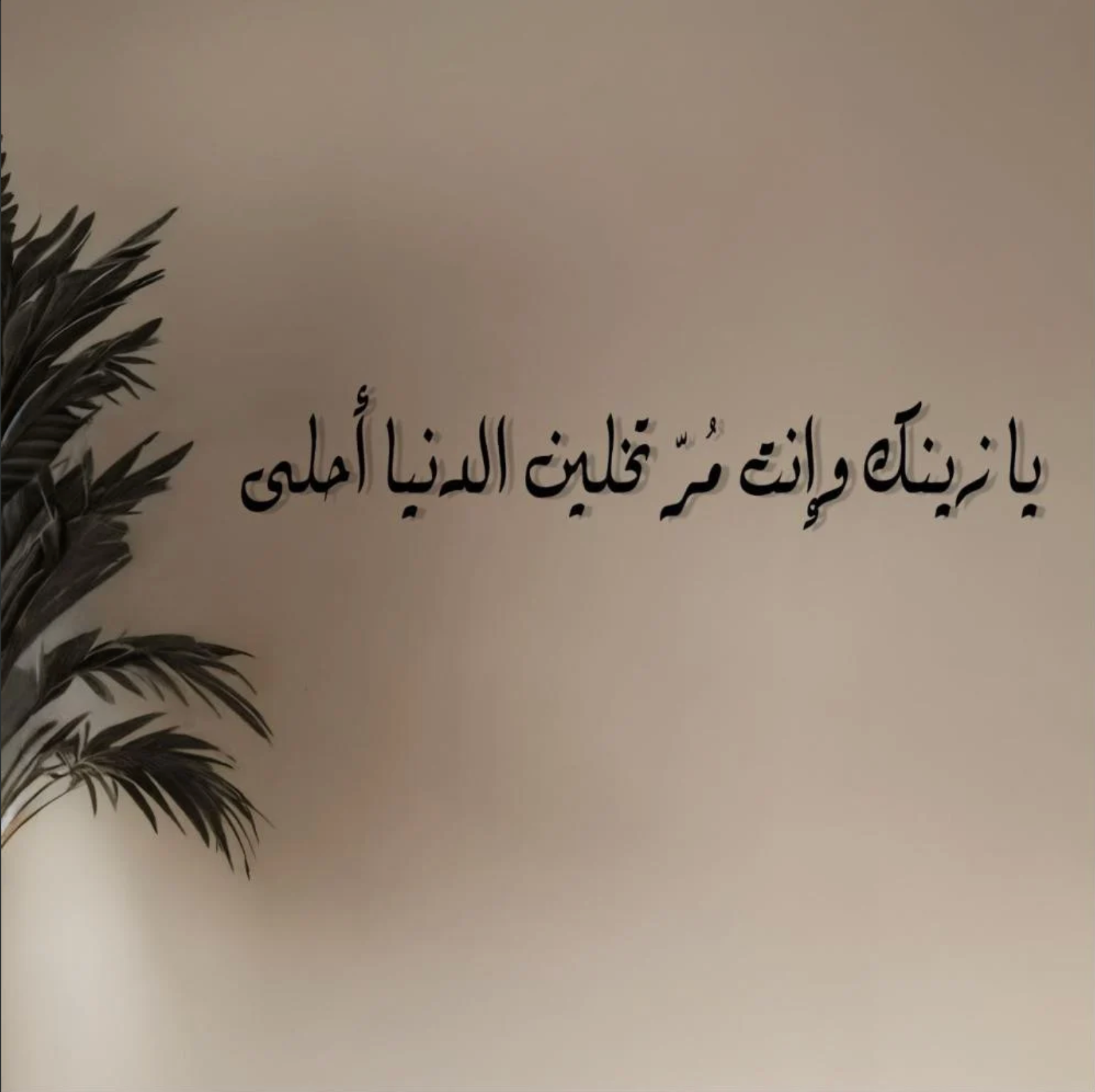 يا زينك وانت مر